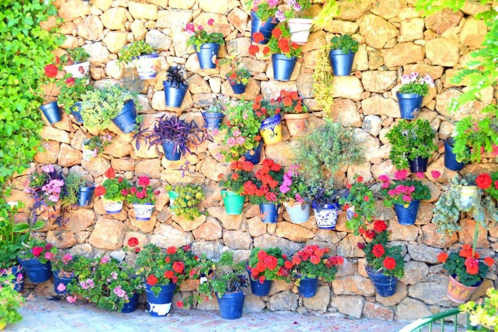 Casita Tranquila Almeria